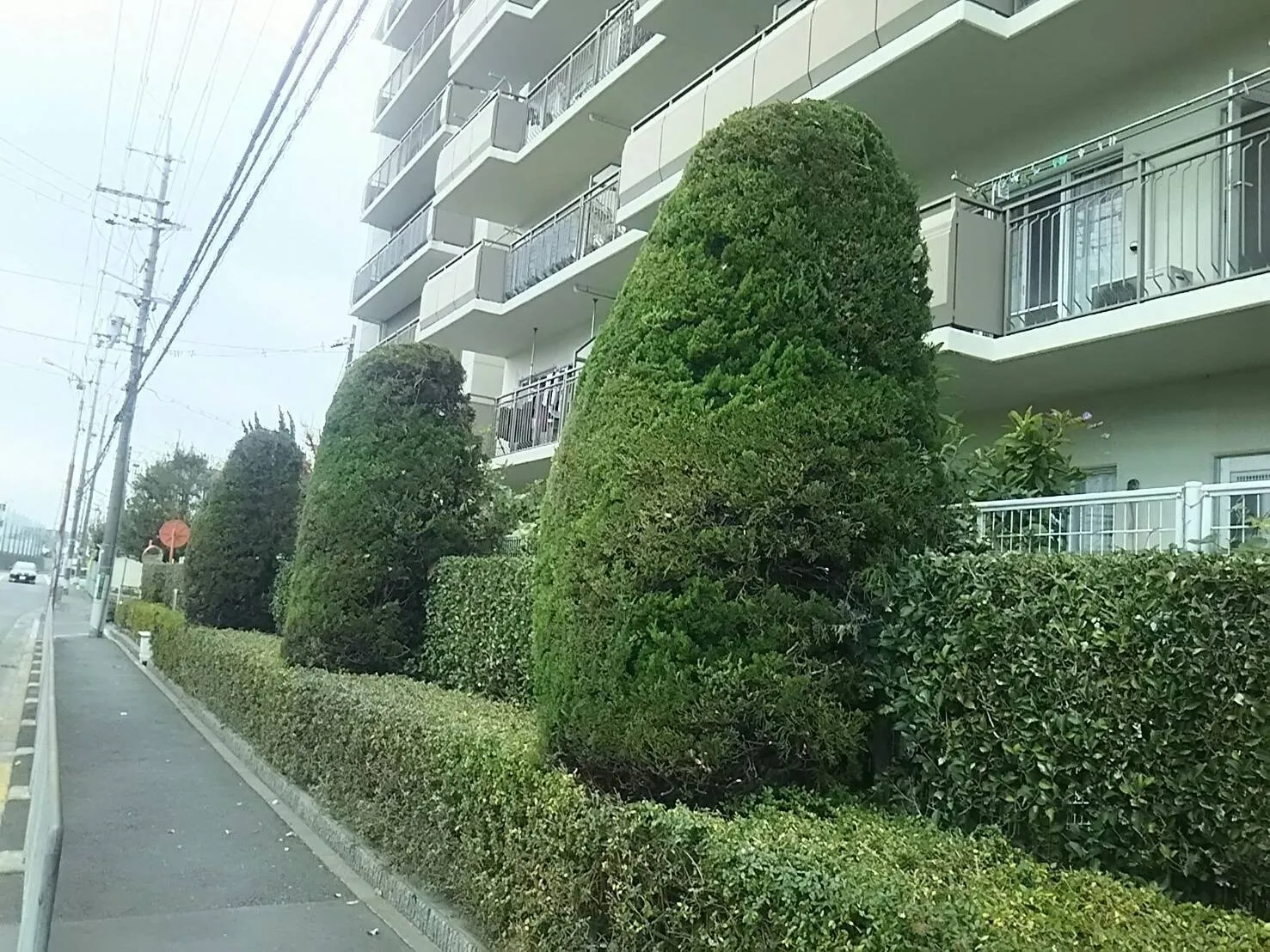 長年の経験に基づいた技術と誠実な対応